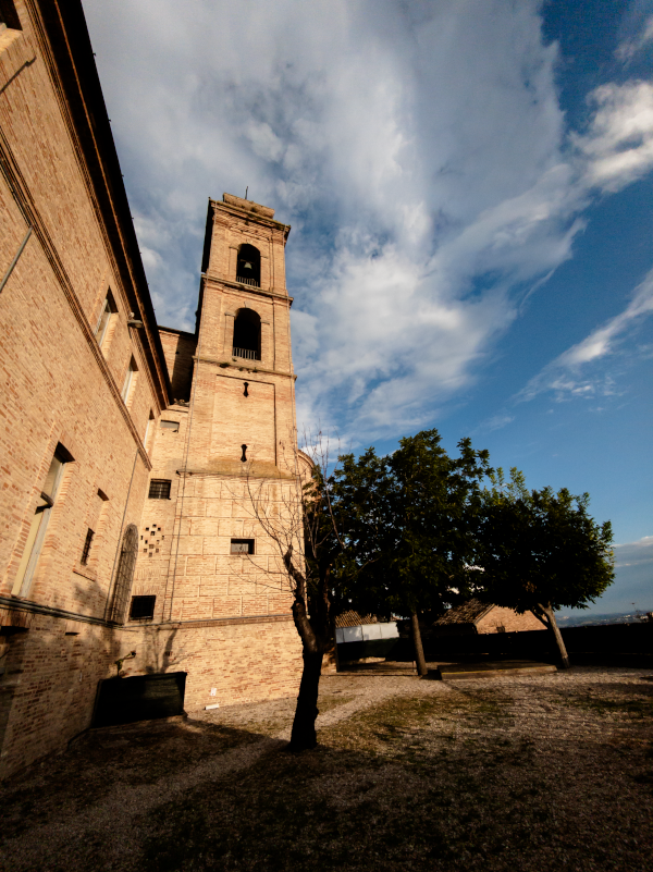 vista del campanile della Chiesa di Sant'Agostino dall' orto dei Frati