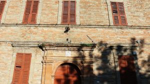 Piazza Garibaldi e Palazzo Laureati