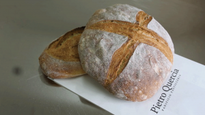 Quercia Bakery grani antichi e lievito madre