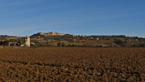 dall’azienda Castignani all’agriturismo I Porfiri